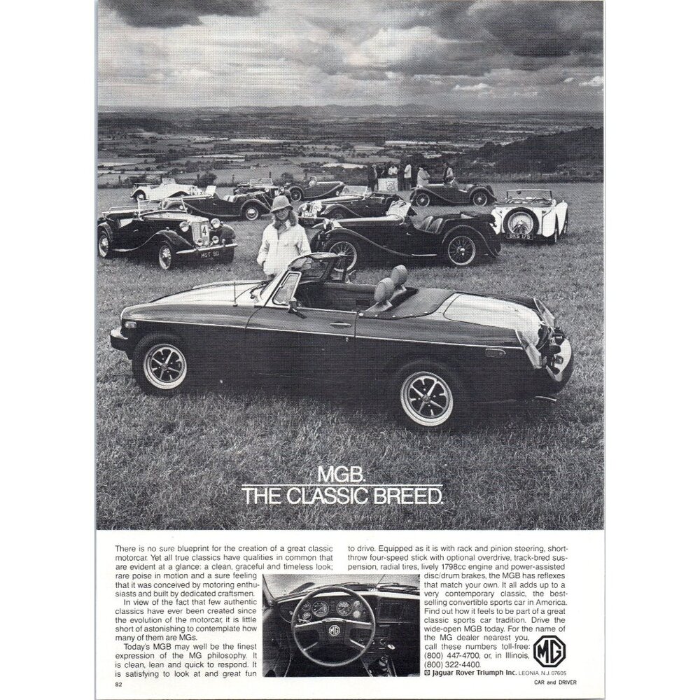 1980 MG MGB Convertible Roadster Vintage Print Ad Models in Field Wall Art